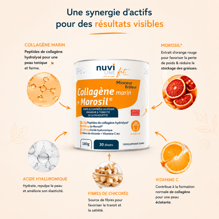 Collagène Marin & Morosil | Actifs