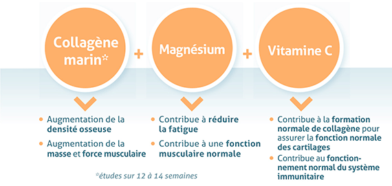 collagene-sport-3-ingredients-bioactifs.