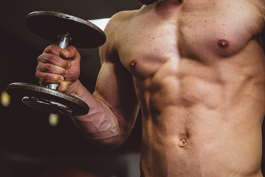 Musculation et protéines végétales