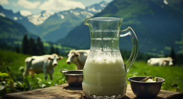 colostrum bovin