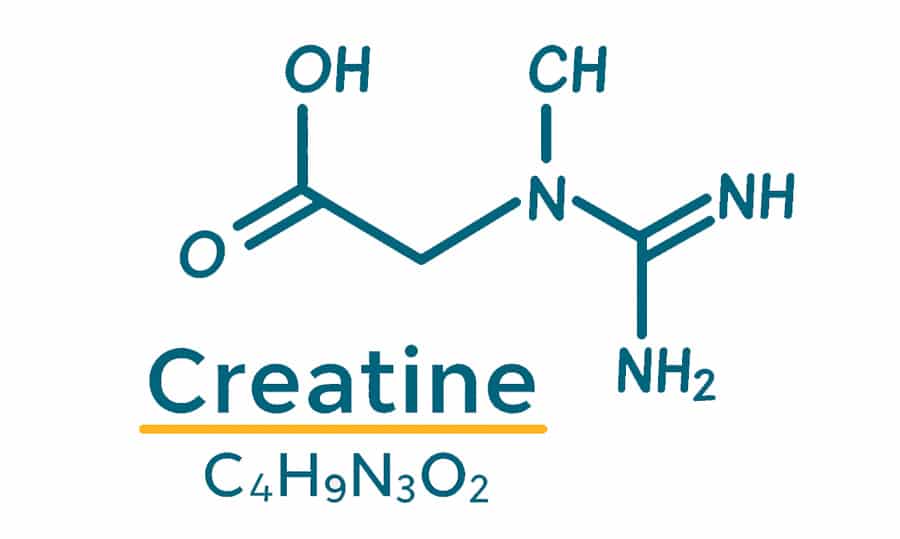 Structure moléculaire de la créatine